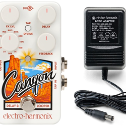 Electro-Harmonix EHX Canyon Delay / Looper